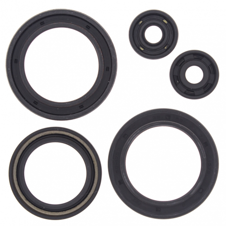 Winderosa (Vertex), sada gufer motoru, Polaris 350/400 93-02