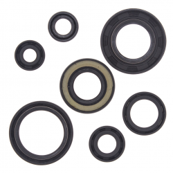 Winderosa (Vertex), sada gufer motoru, Yamaha YFS200 BLASTER 88-06