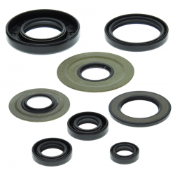 Winderosa (Vertex), sada gufer motoru, Yamaha YFM350 RAPTOR 04-13, WARRIOR 350 87-04