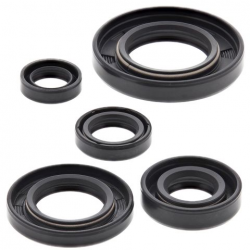 Winderosa (Vertex), sada gufer motoru, Honda NX 650 DOMINATOR, XR 650L '93-'18
