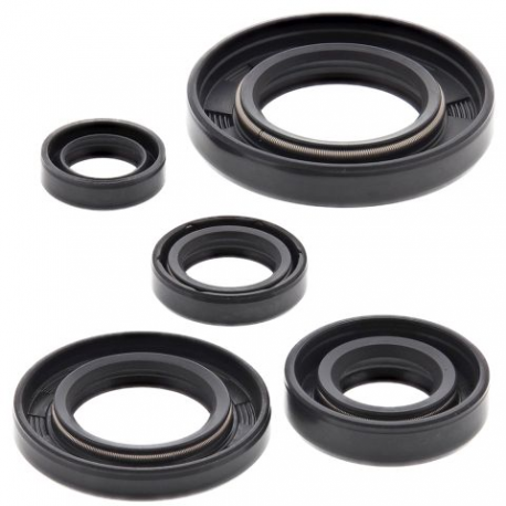 Winderosa (Vertex), sada gufer motoru, Honda NX 650 DOMINATOR, XR 650L '93-'18