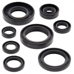 Winderosa (Vertex), sada gufer motoru, Yamaha YZ85 02-18