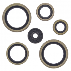 Winderosa (Vertex), sada gufer motoru, KTM SX125 98-14, EXC125 98-14, SX/EXC200 98-14, SX144/150 07-14