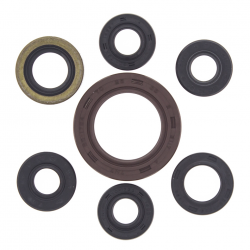 Winderosa (Vertex), sada gufer motoru, Suzuki LTZ 400 '03-'14, ARCTIC CAT 400 DVX 04-08