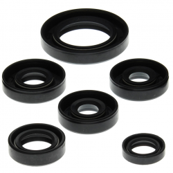 Winderosa (Vertex), sada gufer motoru, CAN-AM DS650 00-07