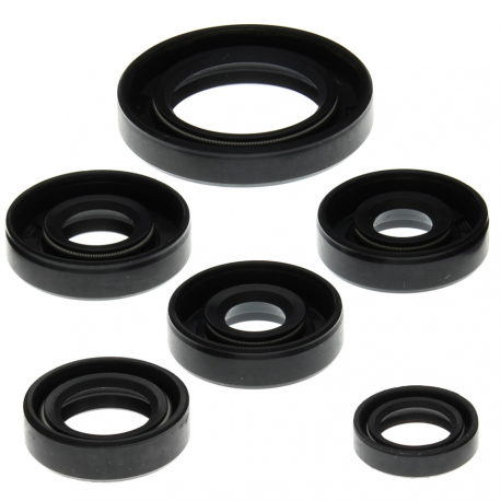 Winderosa (Vertex), sada gufer motoru, CAN-AM DS650 00-07