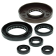 Winderosa (Vertex), sada gufer motoru, Honda TRX450ES 98-01, TRX450FE 02-04, TRX450FM 02-04, TRX450S 98-0