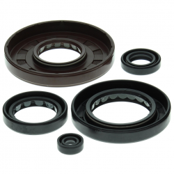 Winderosa (Vertex), sada gufer motoru, Honda TRX500FA 01-14, TRX500FGA 04-08, TRX500FPA 09-14