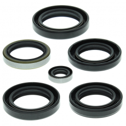 Winderosa (Vertex), sada gufer motoru, Kawasaki KVF360A PRAIRIE 4X4 03-13, KVF360C PRAIRIE 4X4 03-13