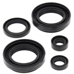 Winderosa (Vertex), sada gufer motoru, ARCTIC CAT 400 4X4 W/MT 03-04, LTF400F 4WD/2WD KING QUAD 08-12