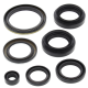 Winderosa (Vertex), sada gufer motoru, ARCTIC CAT 400 4X4 W/AT 03-04, 400 FIS 4X4 W/AT 03-05, LT-A400F 4W