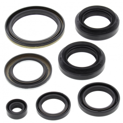 Winderosa (Vertex), sada gufer motoru, ARCTIC CAT 400 4X4 W/AT 03-04, 400 FIS 4X4 W/AT 03-05, LT-A400F 4W