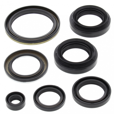 Winderosa (Vertex), sada gufer motoru, ARCTIC CAT 400 4X4 W/AT 03-04, 400 FIS 4X4 W/AT 03-05, LT-A400F 4W