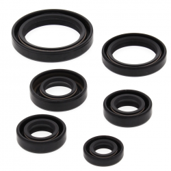 Winderosa (Vertex), sada gufer motoru, Kawasaki KEF300 LAKOTA 95-03, Polaris 450 HO 2X4 MD 16