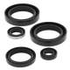 Winderosa (Vertex), sada gufer motoru, Kawasaki KVF300A PRAIRIE 4X4 99-02, KVF300B PRAIRIE 2X4 99-02