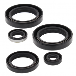Winderosa (Vertex), sada gufer motoru, Kawasaki KVF300A PRAIRIE 4X4 99-02, KVF300B PRAIRIE 2X4 99-02