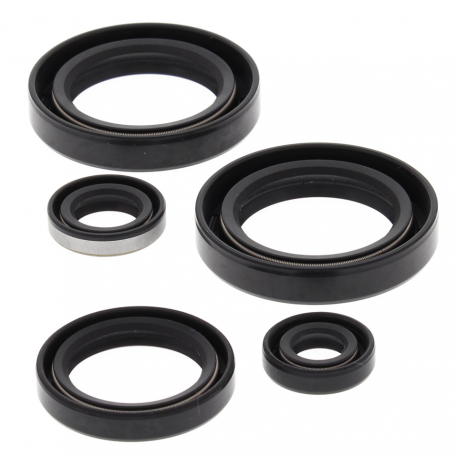 Winderosa (Vertex), sada gufer motoru, Kawasaki KVF300A PRAIRIE 4X4 99-02, KVF300B PRAIRIE 2X4 99-02