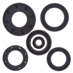 Winderosa (Vertex), sada gufer motoru, Kawasaki KVF650/750 BRUTE FORCE 05-11