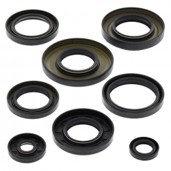 Winderosa (Vertex), sada gufer motoru, Yamaha YFM350 GRIZZLY 07-14 BRUIN 04-06 WOLVERINE 06-09