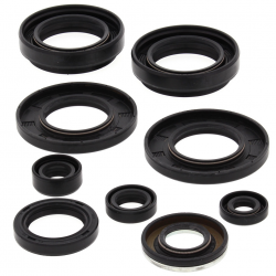 Winderosa (Vertex), sada gufer motoru, ARCTIC CAT 400 4X4 98-00, 454 2X4 97-98, 454 4X4 96-98, 500 4X4 W/