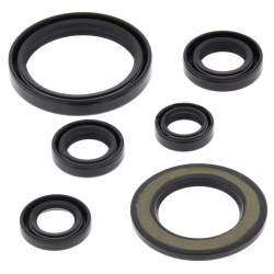 Winderosa (Vertex), sada gufer motoru, Yamaha YFM700 RAPTOR 06-18