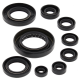 Winderosa (Vertex), sada gufer motoru, Honda TRX420 FA IRS 15-16 TRX420 FA SOLID AXLE 14-16 TRX420 FE 07-