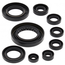 Winderosa (Vertex), sada gufer motoru, Honda TRX420 FA IRS 15-16 TRX420 FA SOLID AXLE 14-16 TRX420 FE 07-