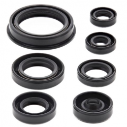 Winderosa (Vertex), sada gufer motoru, Yamaha WR250F 15-19, YZ250F 14-18, YZ250FX 15-19