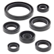Winderosa (Vertex), sada gufer motoru, Yamaha WR450F 16-18, YZ450F 14-19, YZ450FX 16-19