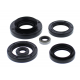 Winderosa (Vertex), sada gufer motoru, Kawasaki KVF750 BRUTE FORCE 15-19, KVF750 BRUTE FORCE EPS 15-19