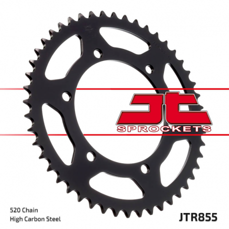 JT, rozeta 866 48 Yamaha XJ 600 DIVERSION 95-03 (JTR855.48) (řetěz 520)