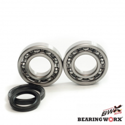 Bearing Worx, ložiska a gufera klikovky, Beta 4T 350/400/450/498 (NTN)
