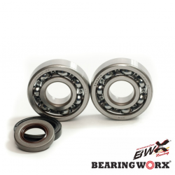 Bearing Worx, ložiska a gufera klikovky, GAS GAS EC 125 '10- (MADE IN JAPAN) (NTN)