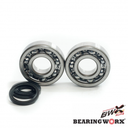 Bearing Worx, ložiska a gufera klikovky, Husqvarna CR250 99-04, WR250 99-13, WR300 98-13 (MADE IN JAPAN) (NTN) (24-