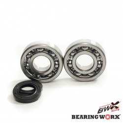 Bearing Worx, ložiska a gufera klikovky, Kawasaki KDX 200 '91-'06, KDX 220 '97-'05 (MADE IN JAPAN) (NTN) (24-1045)