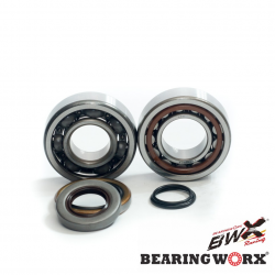 Bearing Worx, ložiska a gufera klikovky, KTM SX 85/105 03-18, Husqvarna TC 85 (14-15) (NTN) (23.CBS61003 50002307)
