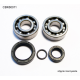 Bearing Worx, ložiska klikovky, KTM SX 50 10-12, SX50 MINI 09-15 (NTN) (24-1099)