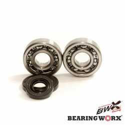 Bearing Worx, ložiska a gufera klikovky, KTM SX 65 09-17 (MADE IN JAPAN) (NTN) (24-1103)