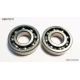 Bearing Worx, ložiska klikovky, Suzuki LTR 450 (06-12) (NTN) (24-1116) (K051)