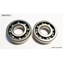 Bearing Worx, ložiska klikovky, Suzuki LTR 450 (06-12) (NTN) (24-1116) (K051)
