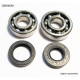 Bearing Worx, ložiska a gufera klikovky, Yamaha YZ 80/85 93-18 (NTN) (24-1023)