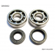Bearing Worx, ložiska a gufera klikovky, Yamaha YZ 125 86-00 (NTN) (24-1024)