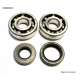 Bearing Worx, ložiska a gufera klikovky, Yamaha YZ 125 01-04 (NTN) (24-1025)