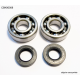 Bearing Worx, ložiska klikovky, Yamaha YZ 125 05-18 (NTN) (24-1062)