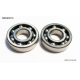 Bearing Worx, ložiska klikovky, Honda XR250R '84-'96, TRX250X '87-'92, Suzuki DRZ250 '01-'07, Yamaha YFM250 RAPTOR '08-'13 (