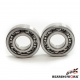 Bearing Worx, ložiska klikovky, Yamaha YFM 700 GRIZZLY 07-14 (MADE IN JAPAN) (NTN) (24-1096)