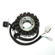 Electrosport, stator alternátoru, Suzuki DL 650 V-STROM (02-07)