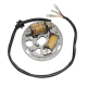 Electrosport, stator alternátoru se světly, Kawasaki KDX 200 (89-05), KDX 220R (97-05)