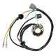 Electrosport, stator alternátoru se světly, Kawasaki KXF 250 (04), Suzuki RMZ 250 (04) (se snímačem) (50W)