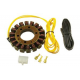 Electrex, stator alternátoru, Yamaha XTZ 660/750, Kawasaki ZZR 600